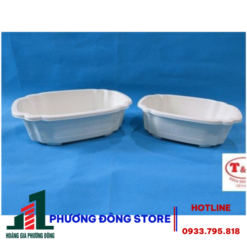 Chậu Bon Sai 